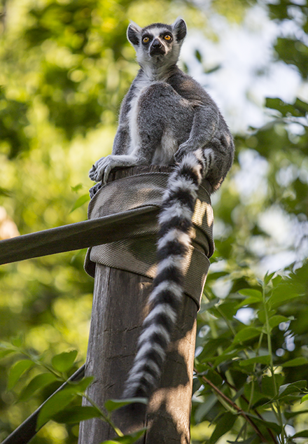 Zoo Opole