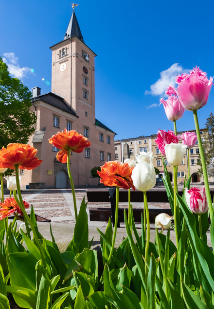 Rynek